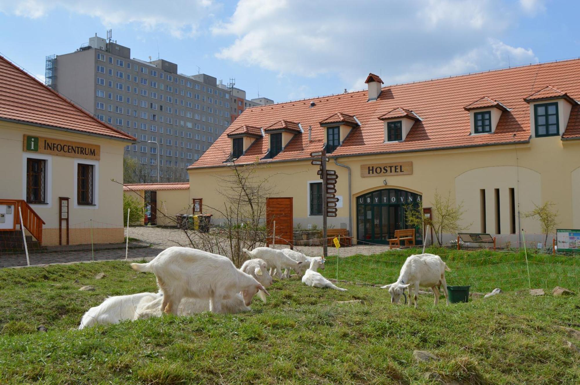 Ubytovna Toulcuv Dvur - Prague — Photos 3